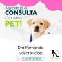 Foto 1:  Fernanda Bueno Veterinária em Domicilio